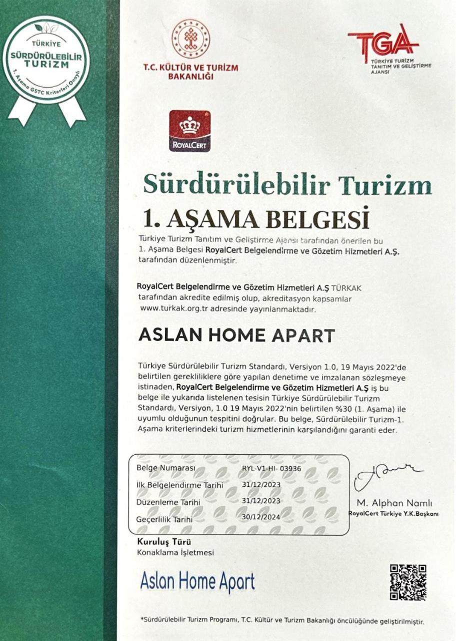 Готель Aslan *